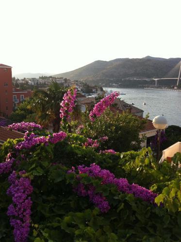 Apartments Vila Dana Dubrovnik Oda fotoğraf