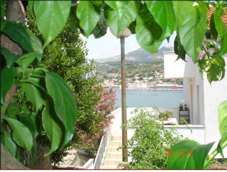 Apartments Vila Dana Dubrovnik Dış mekan fotoğraf