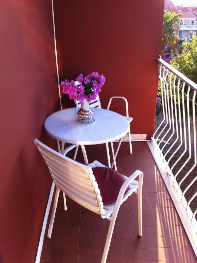 Apartments Vila Dana Dubrovnik Dış mekan fotoğraf